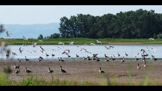 5 САМЫХ КРАСИВЫХ МЕСТ ЕВРОПЫ - АВСТРИЯ смотреть онлайн