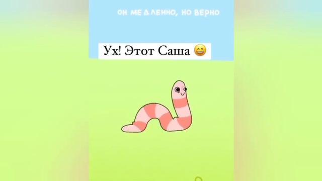 coub приколы 2024