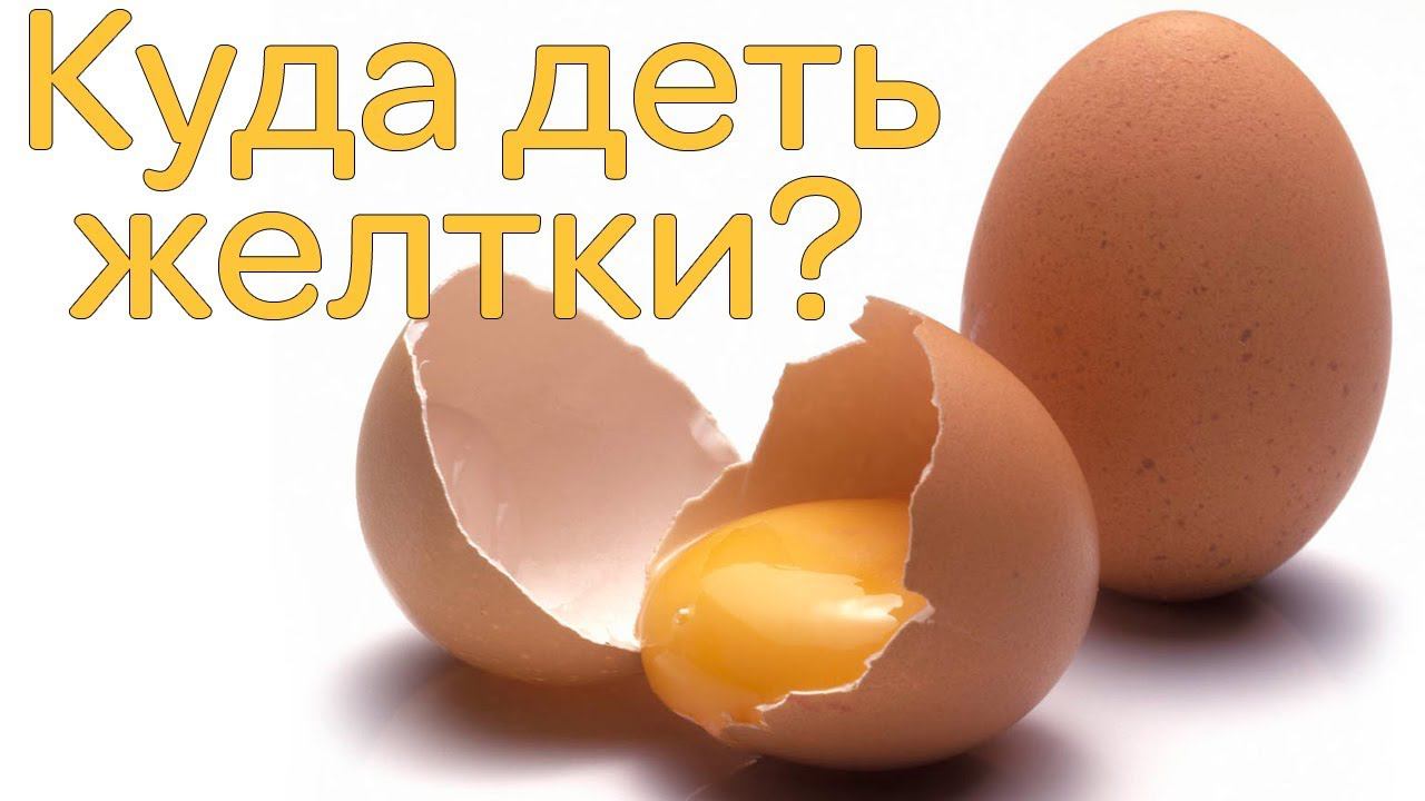 Губка-бисквит из яичных желтков (на желтках) - рецепт в описании