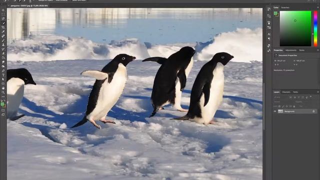 Как вырезать по контуру в фотошопе смотреть онлайн