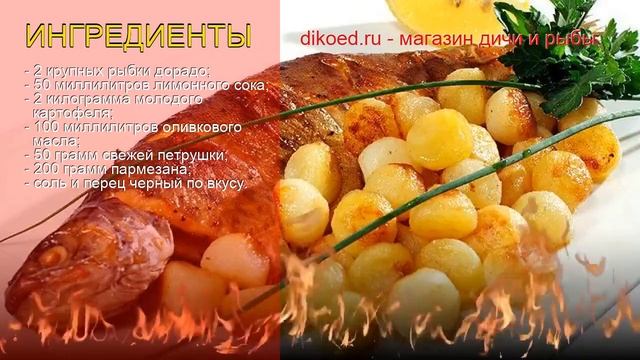 Как приготовить Дорадо дикий пошаговый рецепт - Дорадо запечённая с молодым картофелем за 100 минут смотреть онлайн