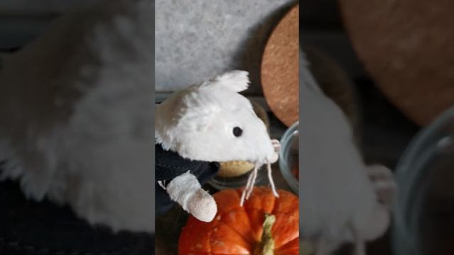 Пир во Вкусе