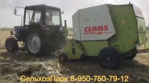 МТЗ и Class Rollant 46 Roto Cut пресс подборщик вальцовый