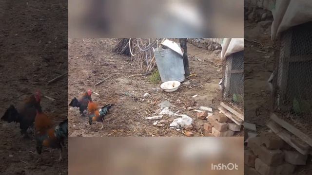 Бой Японский 2 питуха смотреть онлайн