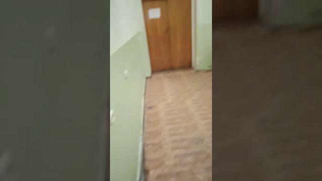 про Yuotubera и Альфонса рассказ и коллекцию парфюма от Ив Роше смотреть онлайн