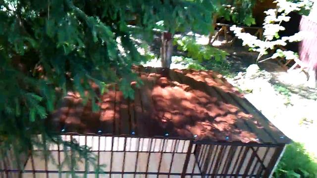 Вольер для собак. Видео 9 смотреть онлайн