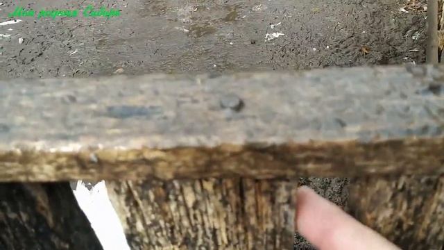 Гуси под дождем. Курочка кормит своих цыплят. Петух сбежал с курами из стайки! Гошка строгий гусак! смотреть онлайн