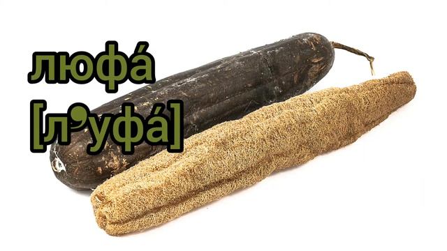 Как произносится люфа по-русски смотреть онлайн