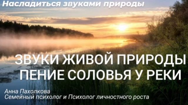 звуки живой природы. соловей. смотреть онлайн