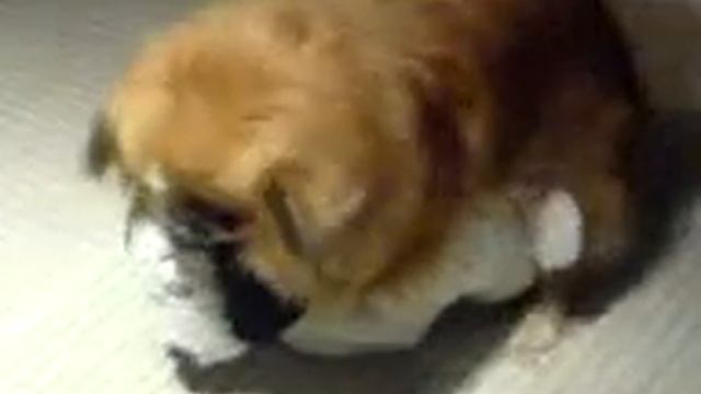 Junior makes love смотреть онлайн