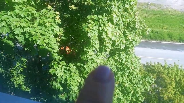 Санкт-Петербург. День города, нам 320 ‼️. Простой рецепт солянки в мультиварке-скороварке Редмонд смотреть онлайн