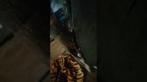 Лексус RX /Harrier 2003 года замена лампочек в передних ПТФ часть 1