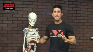 ВРАЩАТЕЛЬНАЯ МАНЖЕТА ПЛЕЧА - как тренировать | Джефф Кавальер