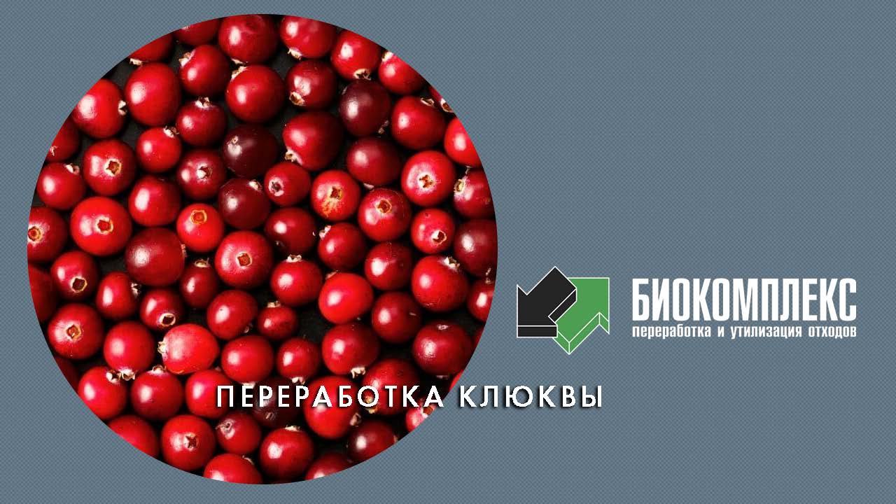 Переработка клюквы смотреть онлайн