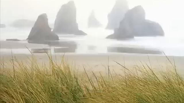 ЧУДЕСА ПРИРОДЫ