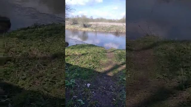 Гидрологический памятник "Криница" в Белынечском районе Могилевской области. смотреть онлайн