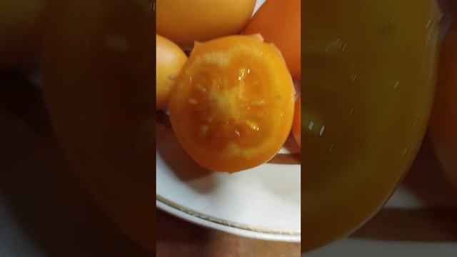 Томат Новый кенигсберг оранжевый смотреть онлайн