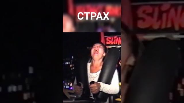 VID_20220630_081541_193.mp4