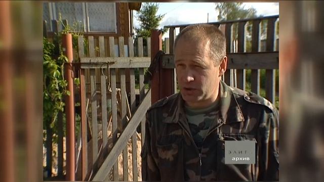 Кавказская овчарка - древнейшая, пастушья и сторожевая собака смотреть онлайн