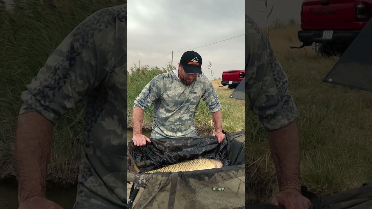 Карп 18+ , Перепутал все удилища !!! смотреть онлайн