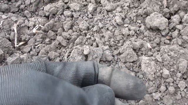 Одна знахідка зробила весь день! Пошук скарбів з металошукачем. смотреть онлайн