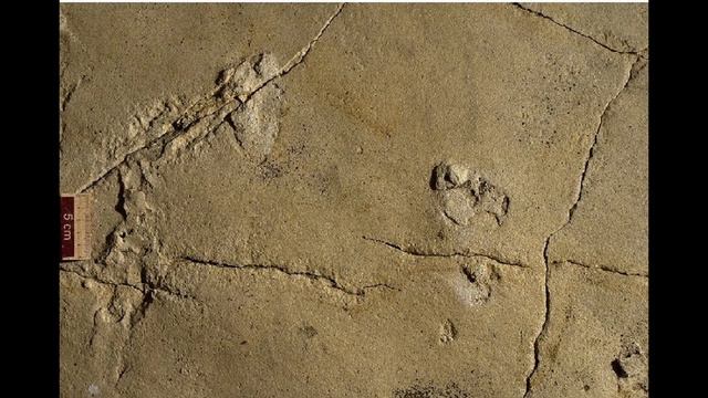 Kolebka ludzkości Europa? Kuna: Pochodzenie Genów Europa Część 1 смотреть онлайн