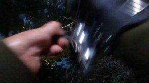 Трудовая охота на карпа с рогаткой.