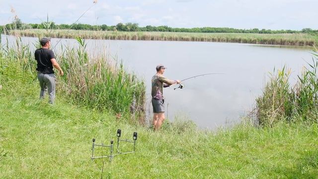 Ловля толстолоба на кашу из продуктового магазина. Рыбалка на толстолоба лето 2021 на красивой реке смотреть онлайн
