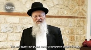 Самое важное понимание, которое я когда-либо ощущал в своей жизни. История оливкового дерева.