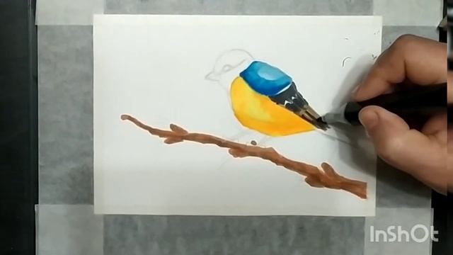 Рисуем синичку маркерами. смотреть онлайн