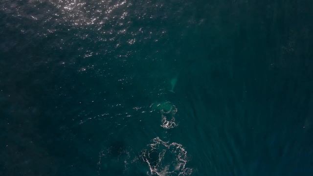 Relaxing meditation with nature Sounds. Soft music. Singing whale sound of sea waves! смотреть онлайн