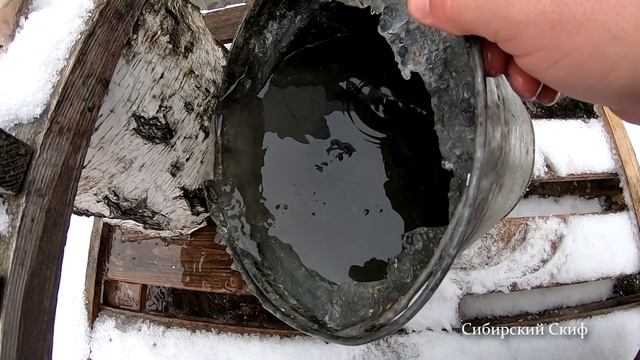 Ротан анабиоз он ЖИВ смотреть онлайн