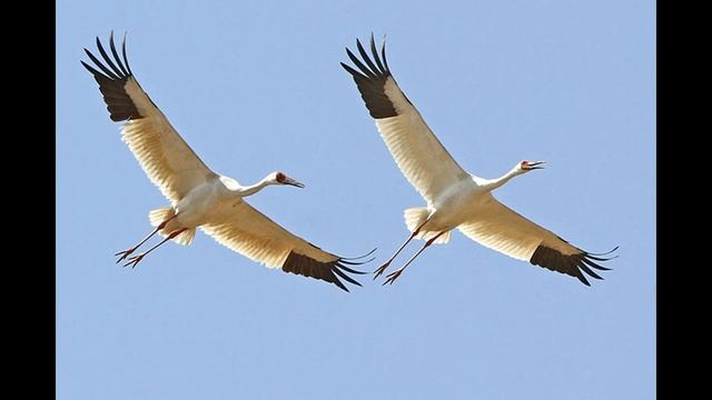 Народные приметы на август смотреть онлайн