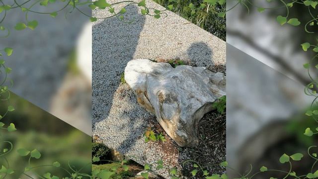 ива-парк. тюмень смотреть онлайн