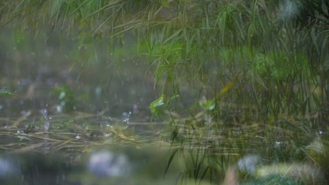 Нас делают сильными не обстоятельства - стихотворение Натальи Парубчишиной смотреть онлайн