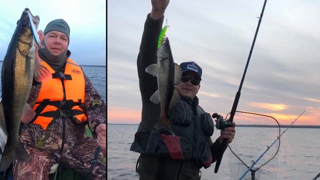 Ловля судака троллингом смотреть онлайн