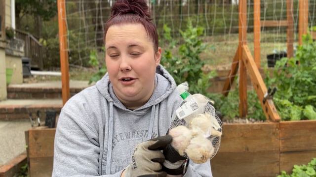 Plant Garlic With Me | How To, History & Medicinal Uses Of Garlic