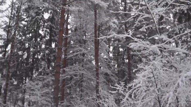 Природа, вдохновение, январь смотреть онлайн