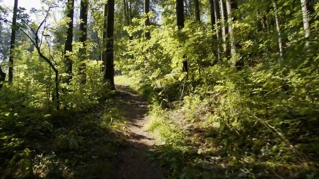 ZHIYUN CRANE 3 LAB A KAMERA BMPCC4K VIDEO 4K 25 Fps