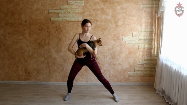 "Мама, папа, я - регбийная семья" с Даниилом Курылевым | Подборка упражнений от игрока ЦСКА смотреть онлайн