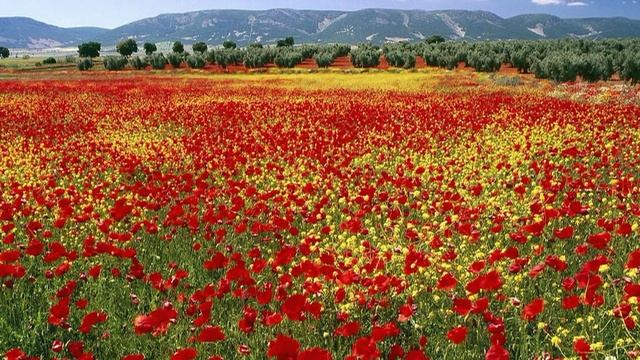 Очень красивая музыка _Максим Демидов Гитара