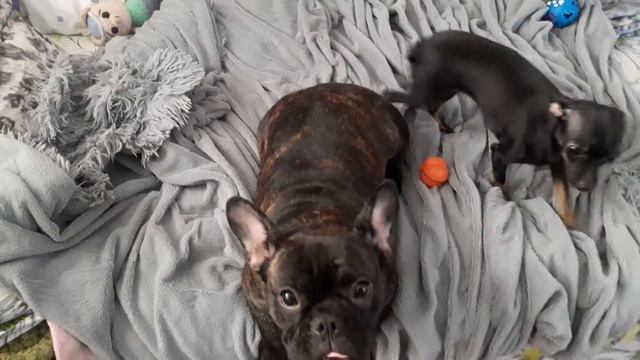 Наши девачки устали. смотреть онлайн