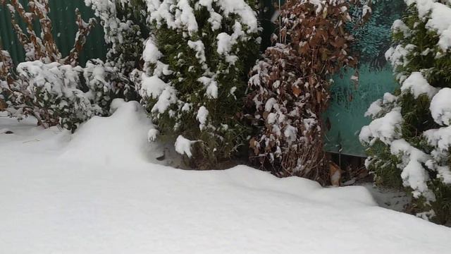 зимняя пора... смотреть онлайн