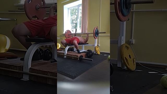 20 раз в народном жиме - это 1 взрослый разряд по версии AWPC.