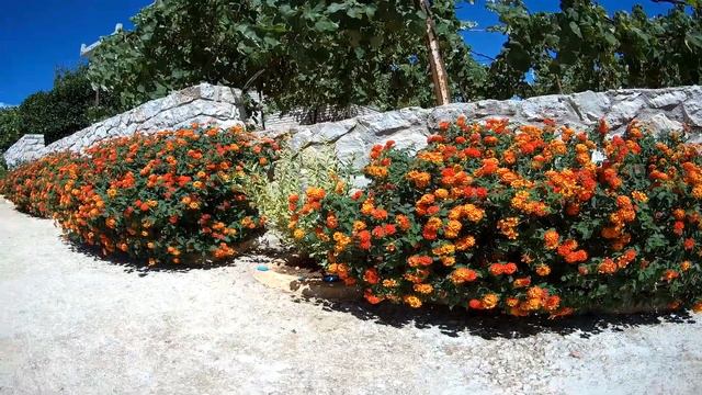 Apartment Angela, апартаменты в Ксамил, Албания/Apartment Angela, apartments in Ksamil, Albania смотреть онлайн