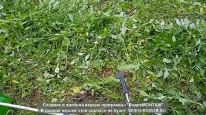 Купили триммер ECO , первые впечатления ,сборка!