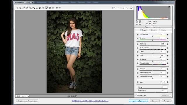 5 урок, полная обработка фотографии в photoshop и проявкой в camera raw смотреть онлайн