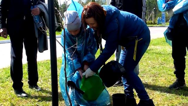 В Твери прошла весенняя акция «Всероссийский день посадки леса» смотреть онлайн