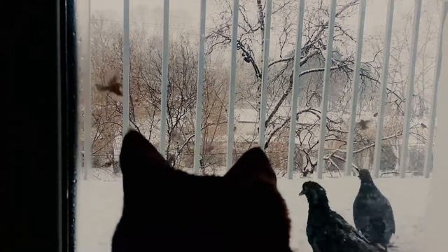 С новым годом товарищи! смотреть онлайн