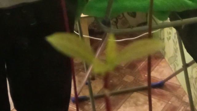 Отрывной календарь меня просто выбросил в воспоминания смотреть онлайн